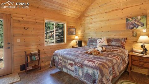 Tiny photo for 155 Squilchuk Trail, Woodland Park, CO 80863 (MLS # 2894787)