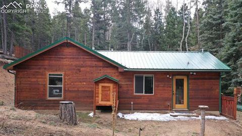 Tiny photo for 155 Squilchuk Trail, Woodland Park, CO 80863 (MLS # 2894787)