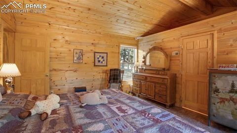 Tiny photo for 155 Squilchuk Trail, Woodland Park, CO 80863 (MLS # 2894787)