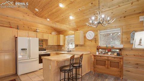 Tiny photo for 155 Squilchuk Trail, Woodland Park, CO 80863 (MLS # 2894787)