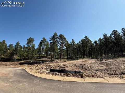 Photo of 14190 Allen Ranch Road, Colorado Springs, CO 80908 (MLS # 3579848)