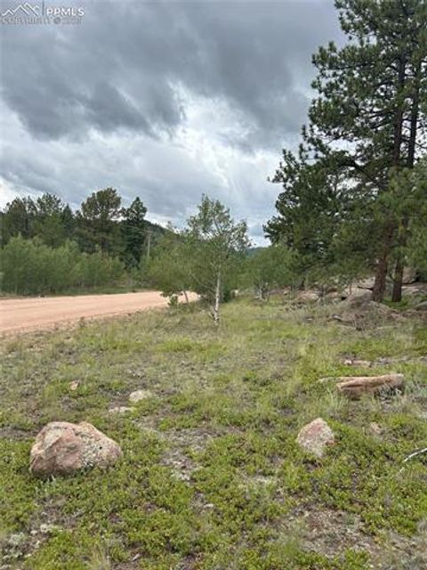 Photo of 155 County Road 403, Florissant, CO 80816 (MLS # 3687638)