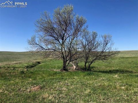 Photo of 3 Mikita Road, Calhan, CO 80831 (MLS # 6162301) Photo of 3 Mikita Road, Calhan, CO 80831 (MLS # 6162301)