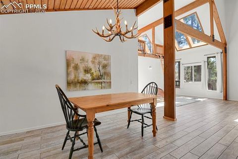 Tiny photo for 240 Sun Ridge Court, Woodland Park, CO 80863 (MLS # 2139250)