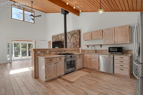Tiny photo for 240 Sun Ridge Court, Woodland Park, CO 80863 (MLS # 2139250)