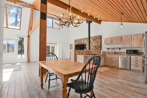 Tiny photo for 240 Sun Ridge Court, Woodland Park, CO 80863 (MLS # 2139250)