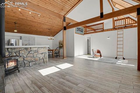 Tiny photo for 240 Sun Ridge Court, Woodland Park, CO 80863 (MLS # 2139250)