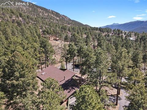 Tiny photo for 240 Sun Ridge Court, Woodland Park, CO 80863 (MLS # 2139250)