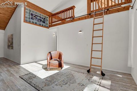 Tiny photo for 240 Sun Ridge Court, Woodland Park, CO 80863 (MLS # 2139250)