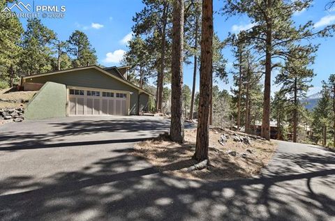 Tiny photo for 240 Sun Ridge Court, Woodland Park, CO 80863 (MLS # 2139250)