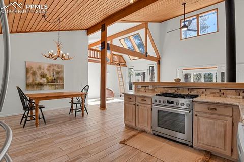 Tiny photo for 240 Sun Ridge Court, Woodland Park, CO 80863 (MLS # 2139250)