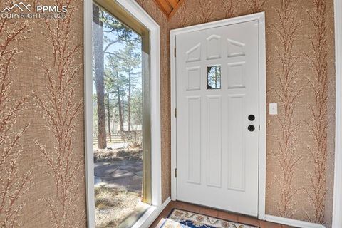 Tiny photo for 240 Sun Ridge Court, Woodland Park, CO 80863 (MLS # 2139250)