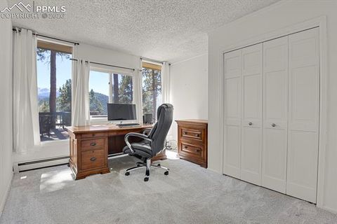Tiny photo for 240 Sun Ridge Court, Woodland Park, CO 80863 (MLS # 2139250)