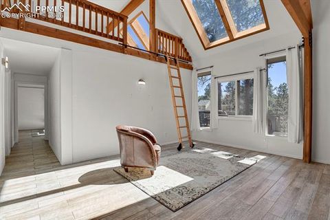 Tiny photo for 240 Sun Ridge Court, Woodland Park, CO 80863 (MLS # 2139250)