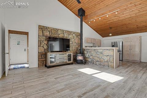Tiny photo for 240 Sun Ridge Court, Woodland Park, CO 80863 (MLS # 2139250)