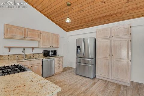 Tiny photo for 240 Sun Ridge Court, Woodland Park, CO 80863 (MLS # 2139250)