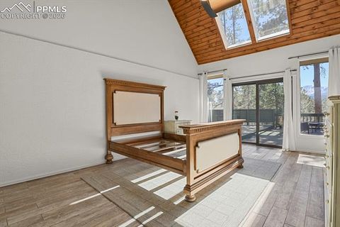 Tiny photo for 240 Sun Ridge Court, Woodland Park, CO 80863 (MLS # 2139250)