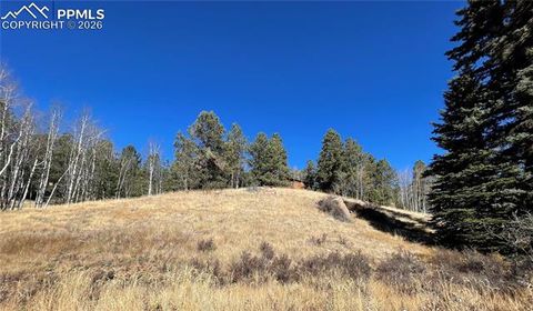 Photo of 3090 N Mountain Estates Road, Florissant, CO 80816 (MLS # 2288912)