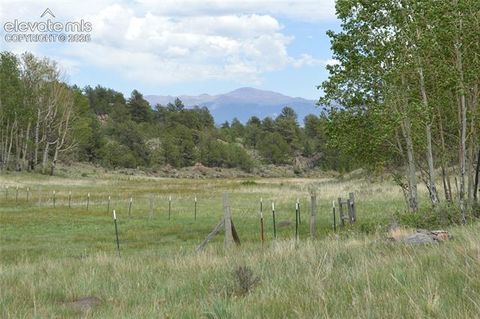 Photo of 344 Valley Road, Guffey, CO 80820 (MLS # 1330458)