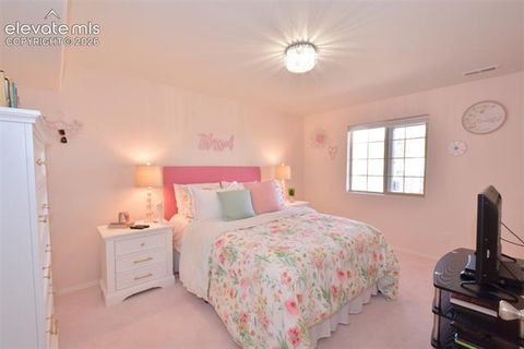 Tiny photo for 806 Misty Pines Circle, Woodland Park, CO 80863 (MLS # 2350658)