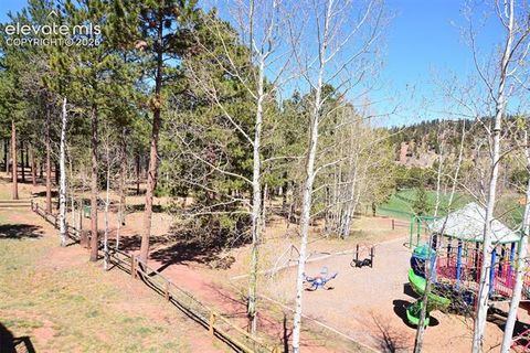 Tiny photo for 806 Misty Pines Circle, Woodland Park, CO 80863 (MLS # 2350658)