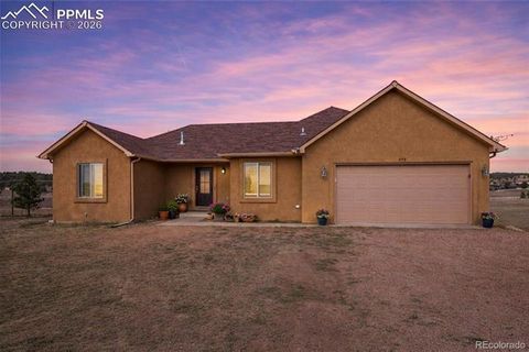 Photo of 573 Empire Road, Florissant, CO 80816 (MLS # 2507543)