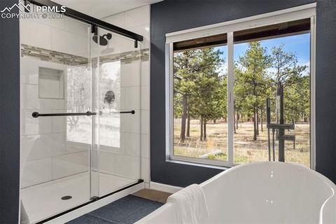 Tiny photo for 11335 Wakely Road, Colorado Springs, CO 80908 (MLS # 2037768)