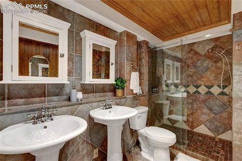 Tiny photo for 4580 Hagerman Avenue, Cascade, CO 80909 (MLS # 5759612)