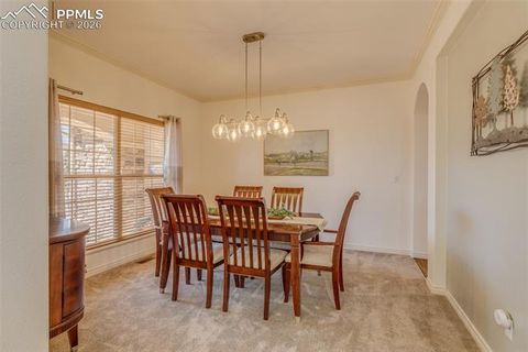 Tiny photo for 13957 Sierra Knolls Court, Colorado Springs, CO 80921 (MLS # 2184208)