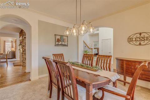 Tiny photo for 13957 Sierra Knolls Court, Colorado Springs, CO 80921 (MLS # 2184208)