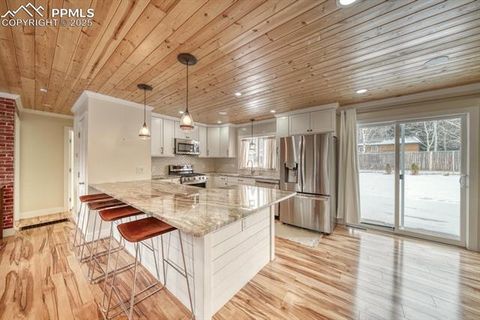 Tiny photo for 913 N Baldwin Street, Woodland Park, CO 80863 (MLS # 3915953)