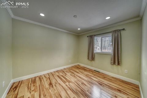 Tiny photo for 913 N Baldwin Street, Woodland Park, CO 80863 (MLS # 3915953)