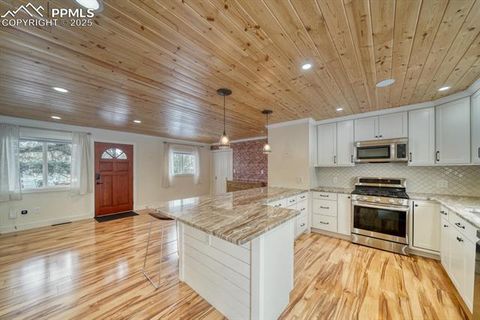 Tiny photo for 913 N Baldwin Street, Woodland Park, CO 80863 (MLS # 3915953)