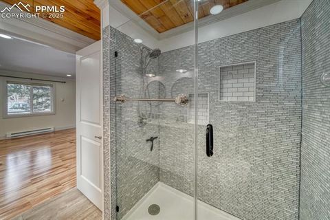 Tiny photo for 913 N Baldwin Street, Woodland Park, CO 80863 (MLS # 3915953)