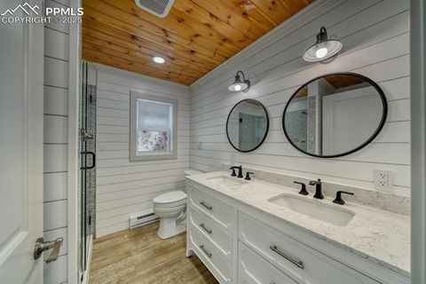 Tiny photo for 913 N Baldwin Street, Woodland Park, CO 80863 (MLS # 3915953)