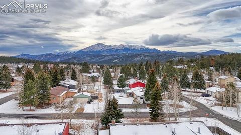 Tiny photo for 913 N Baldwin Street, Woodland Park, CO 80863 (MLS # 3915953)