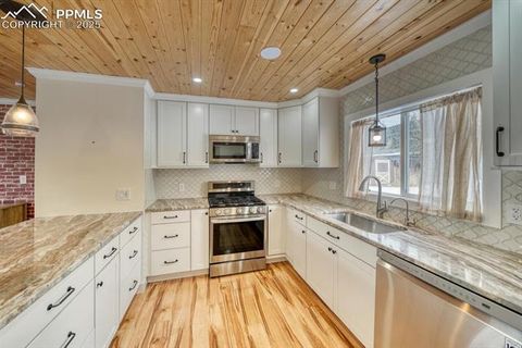 Tiny photo for 913 N Baldwin Street, Woodland Park, CO 80863 (MLS # 3915953)