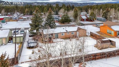 Tiny photo for 913 N Baldwin Street, Woodland Park, CO 80863 (MLS # 3915953)