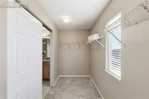 Tiny photo for 7703 Autumn Leaf Way, Colorado Springs, CO 80922 (MLS # 8152345)