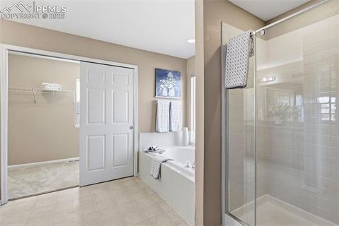 Tiny photo for 7703 Autumn Leaf Way, Colorado Springs, CO 80922 (MLS # 8152345)