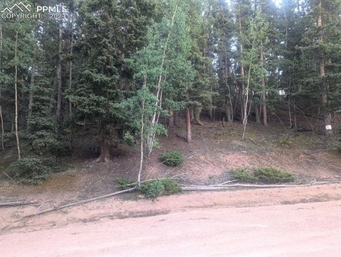 Photo of 358 Pawutsy Road, Florissant, CO 80816 (MLS # 6202813)