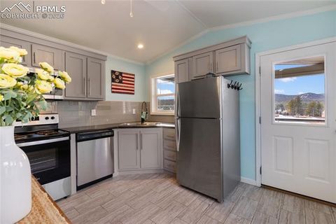 Tiny photo for 1431 Calm Mountain Point, Woodland Park, CO 80863 (MLS # 6953955)