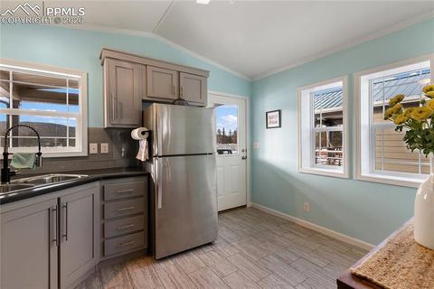Tiny photo for 1431 Calm Mountain Point, Woodland Park, CO 80863 (MLS # 6953955)