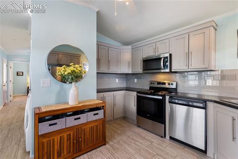 Tiny photo for 1431 Calm Mountain Point, Woodland Park, CO 80863 (MLS # 6953955)