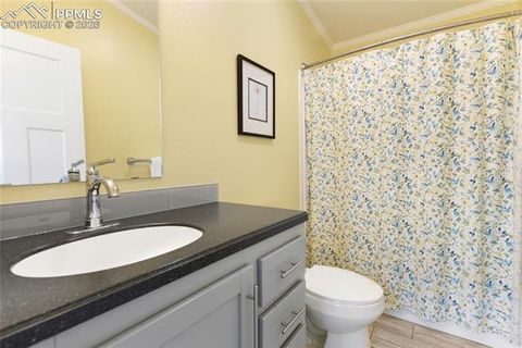 Tiny photo for 1431 Calm Mountain Point, Woodland Park, CO 80863 (MLS # 6953955)