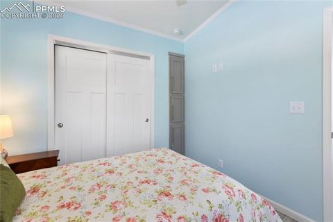 Tiny photo for 1431 Calm Mountain Point, Woodland Park, CO 80863 (MLS # 6953955)