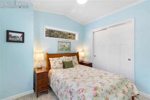 Tiny photo for 1431 Calm Mountain Point, Woodland Park, CO 80863 (MLS # 6953955)