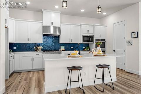 Tiny photo for 6538 Arabesque Loop, Colorado Springs, CO 80924 (MLS # 6201267)