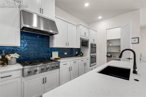 Tiny photo for 6538 Arabesque Loop, Colorado Springs, CO 80924 (MLS # 6201267)