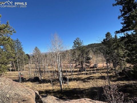 Photo of 21 County Road 403, Guffey, CO 80820 (MLS # 7967196)